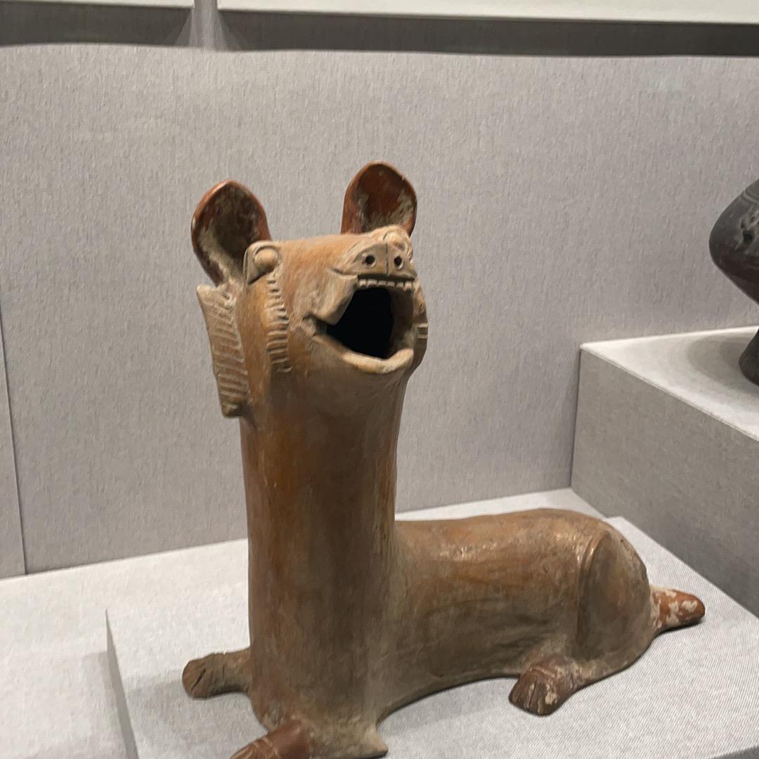 笠鑫