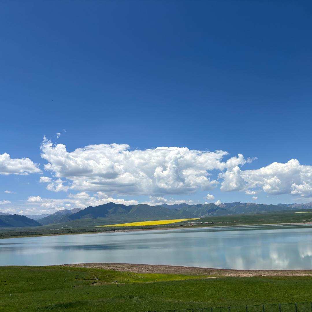 管丽君