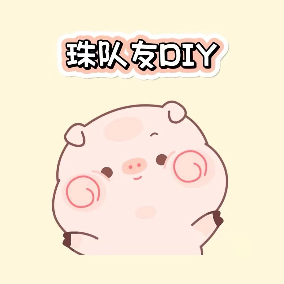 珠队友DIY