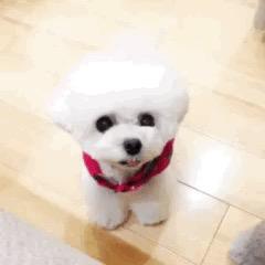 淡妆微醺