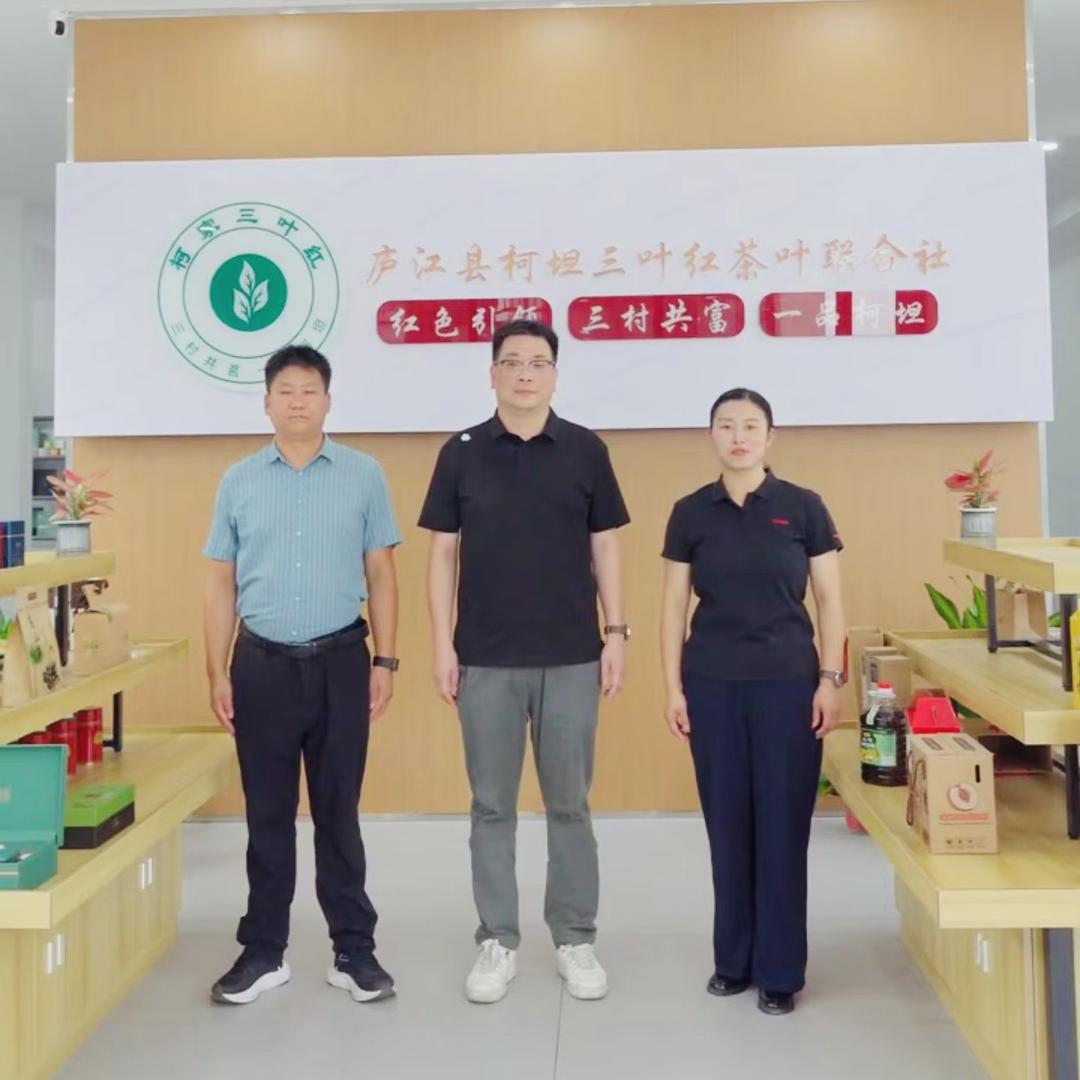 庐江县柯坦三叶红联合社