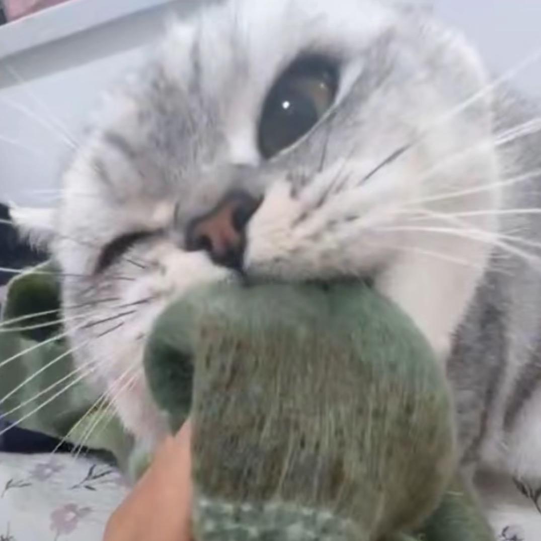 挠头