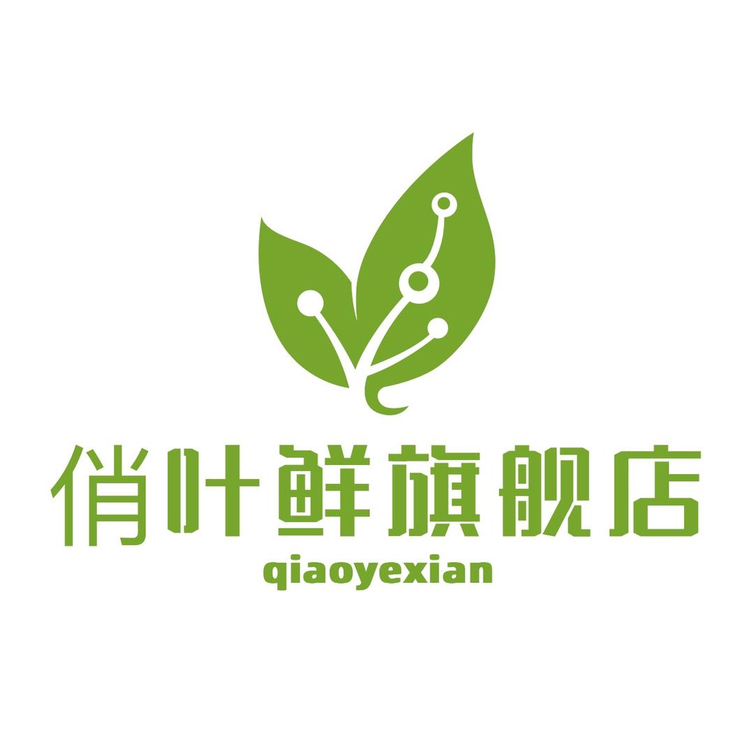 俏叶鲜绿植园艺