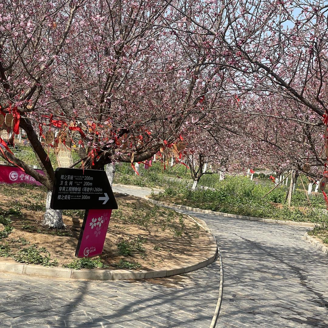 十里清风^_^步步于你🍼