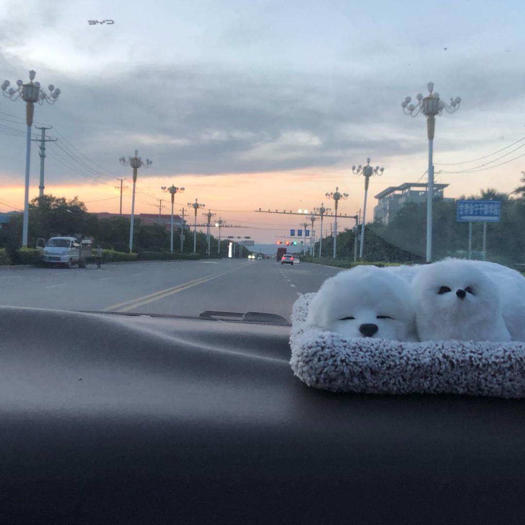 海瑞爱吃干💩