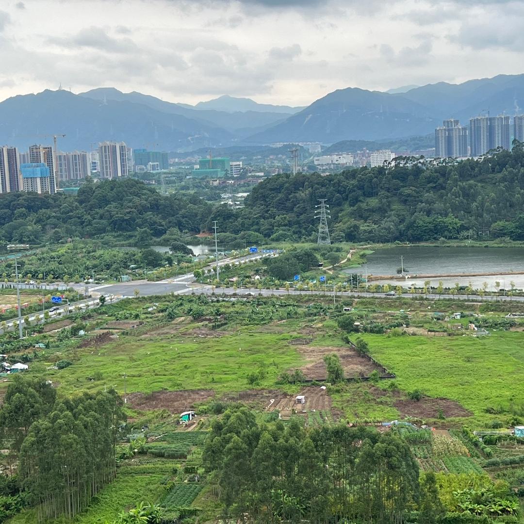 潘小潘