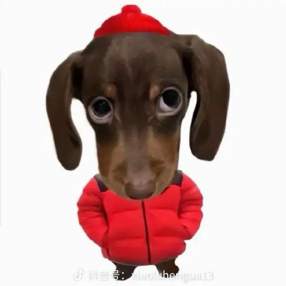 小美不美🏍️（见过许嵩版）