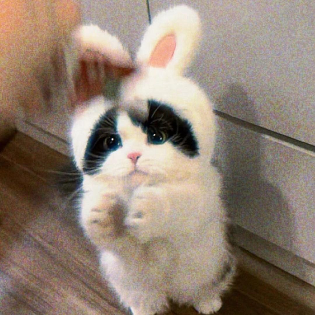 d了个j