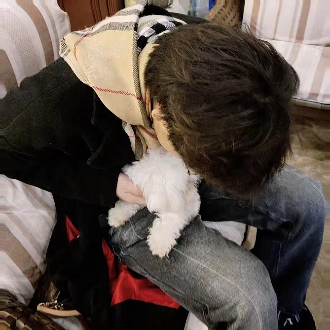 悲伤小🐶