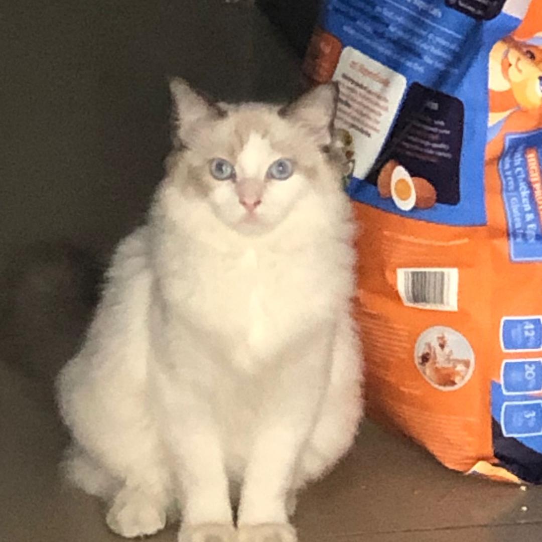 早睡早起的普通人