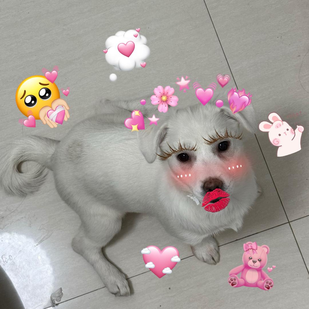 宝宝🦋