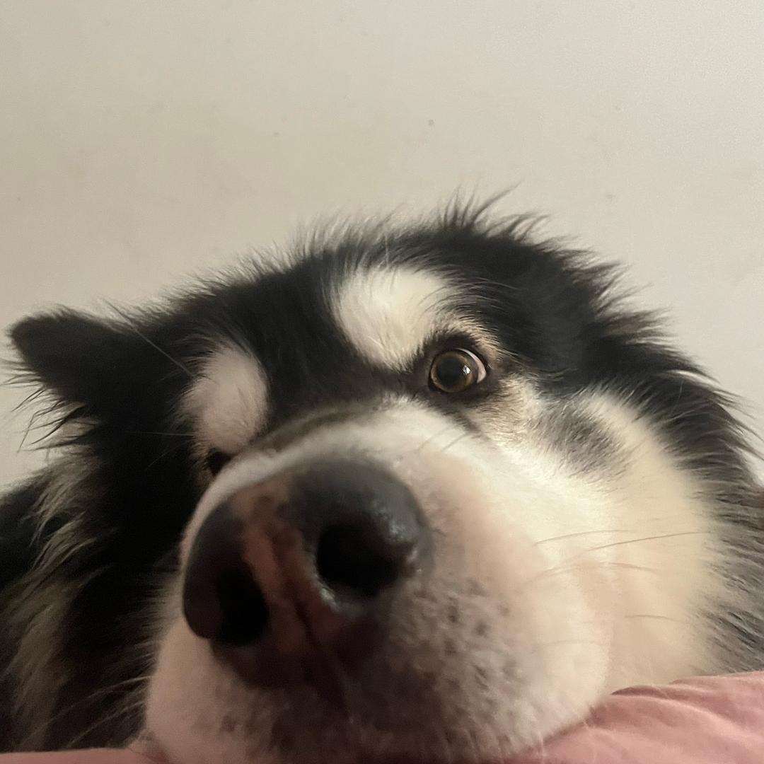 土豆南瓜胡萝卜