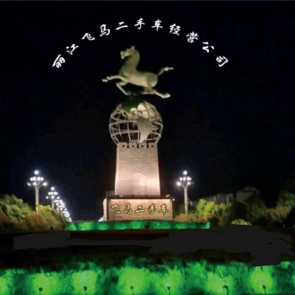 丽江飞马二手车经营有限公司