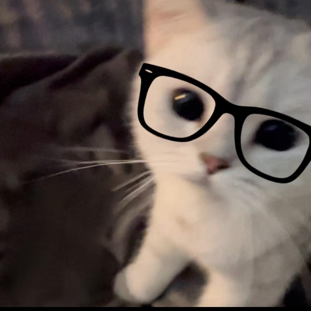 有点高冷的帅哥