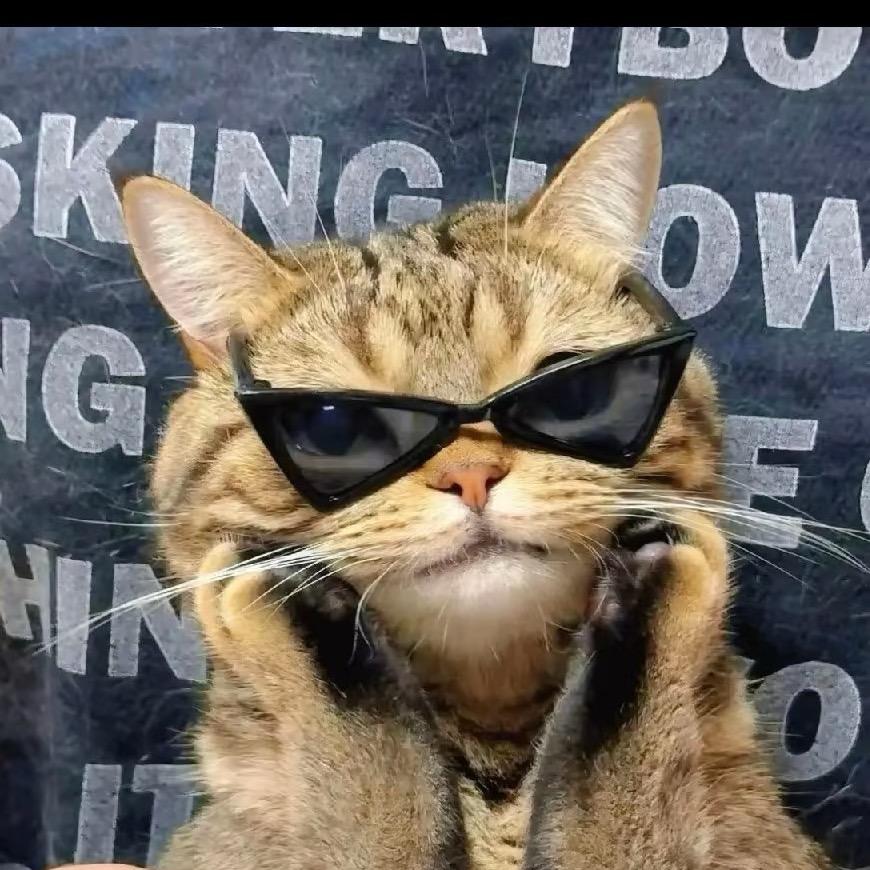 猫猫记录员努力挣钱