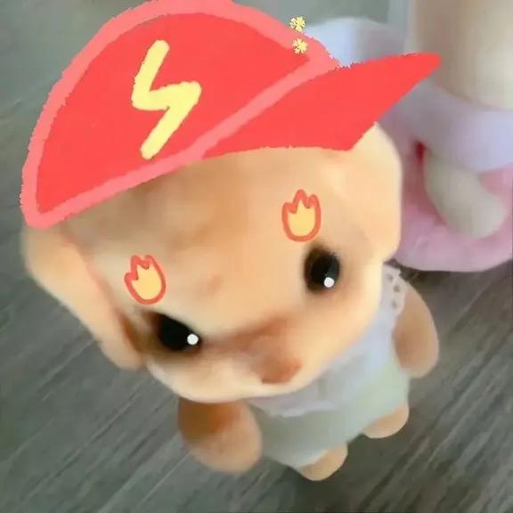 🍔呆呆.