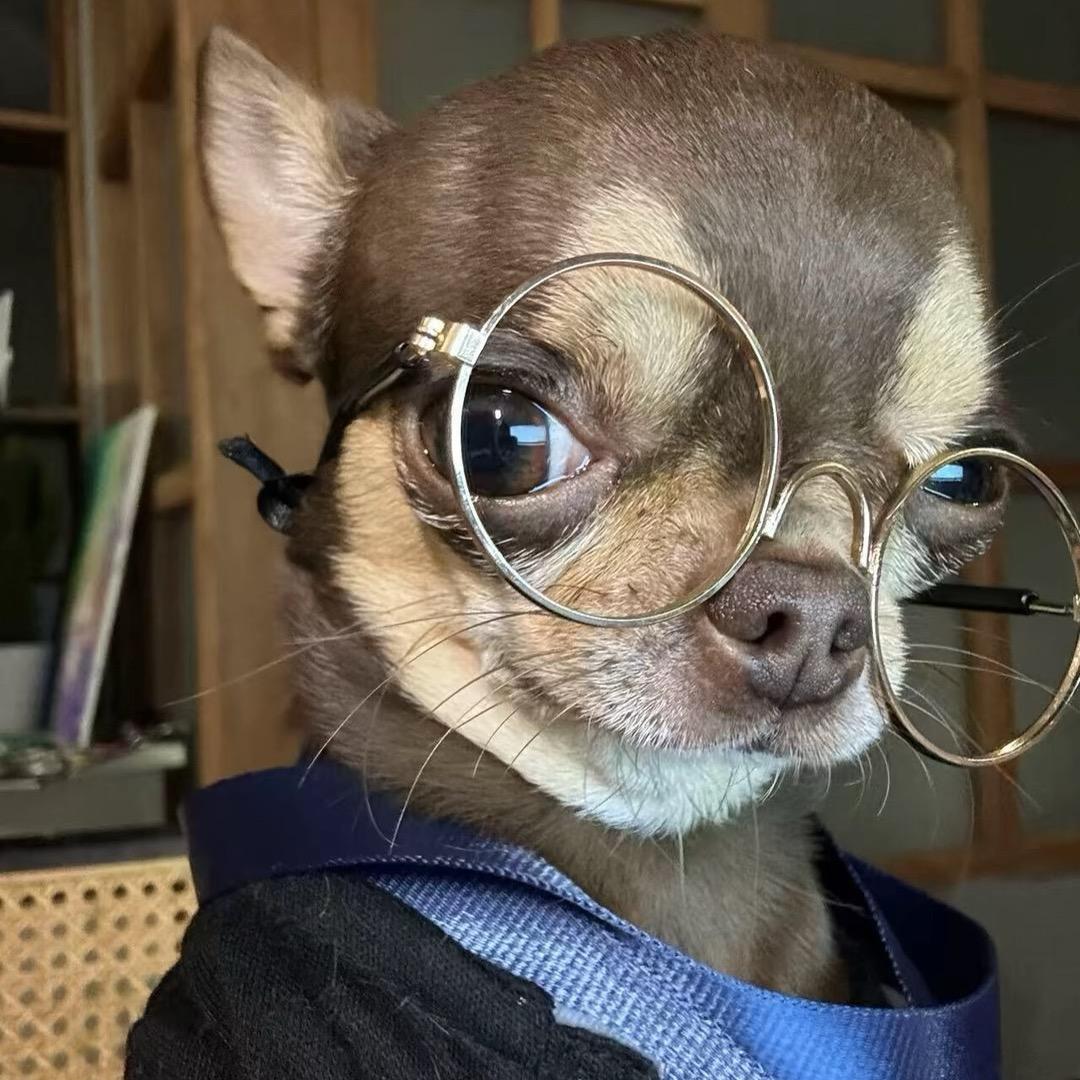 玩的就是心跳💓