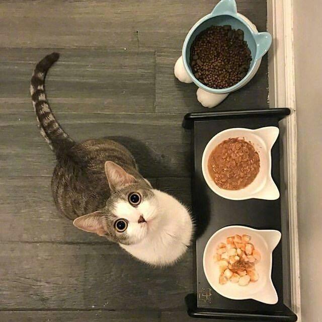 ❤️❤️