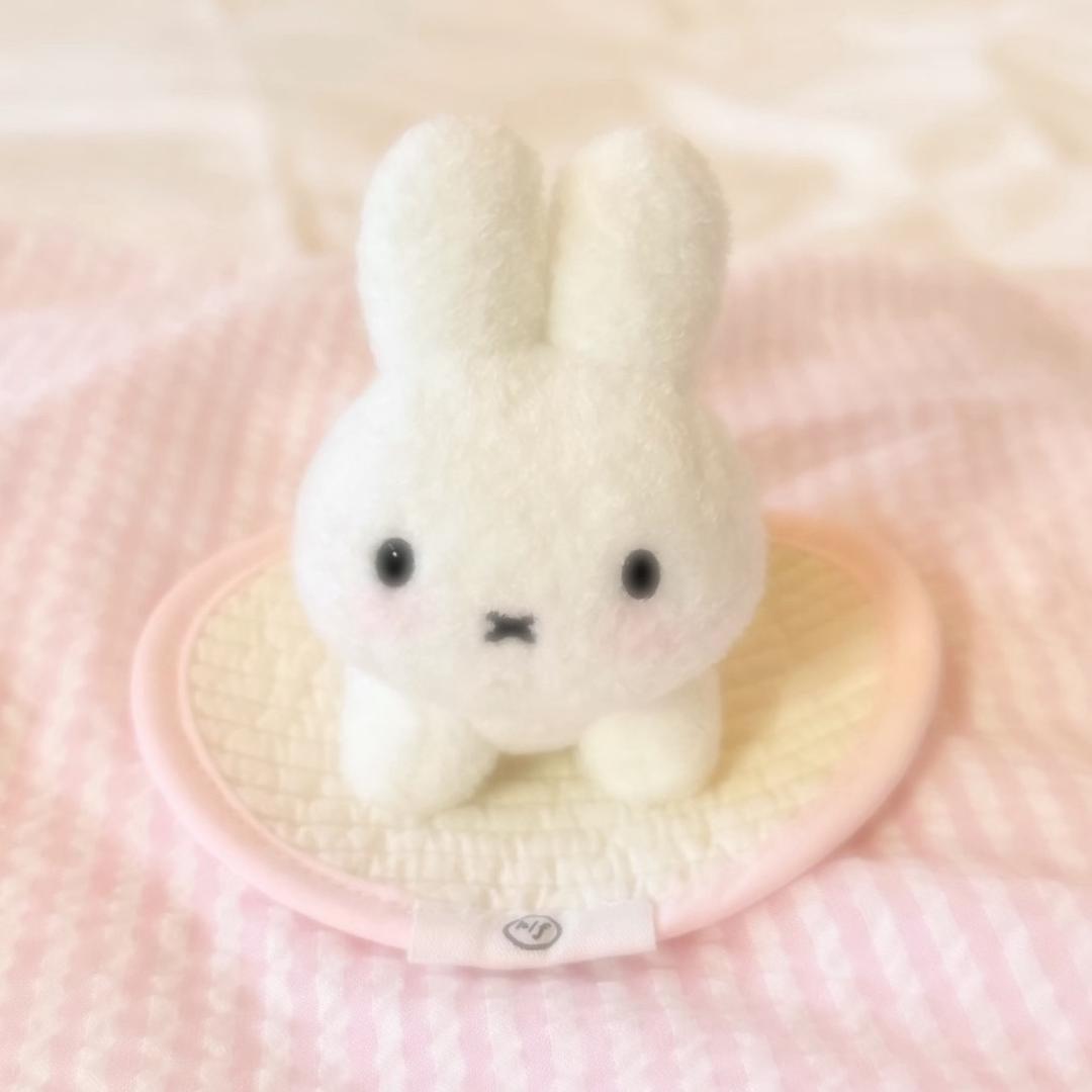 圆圆の