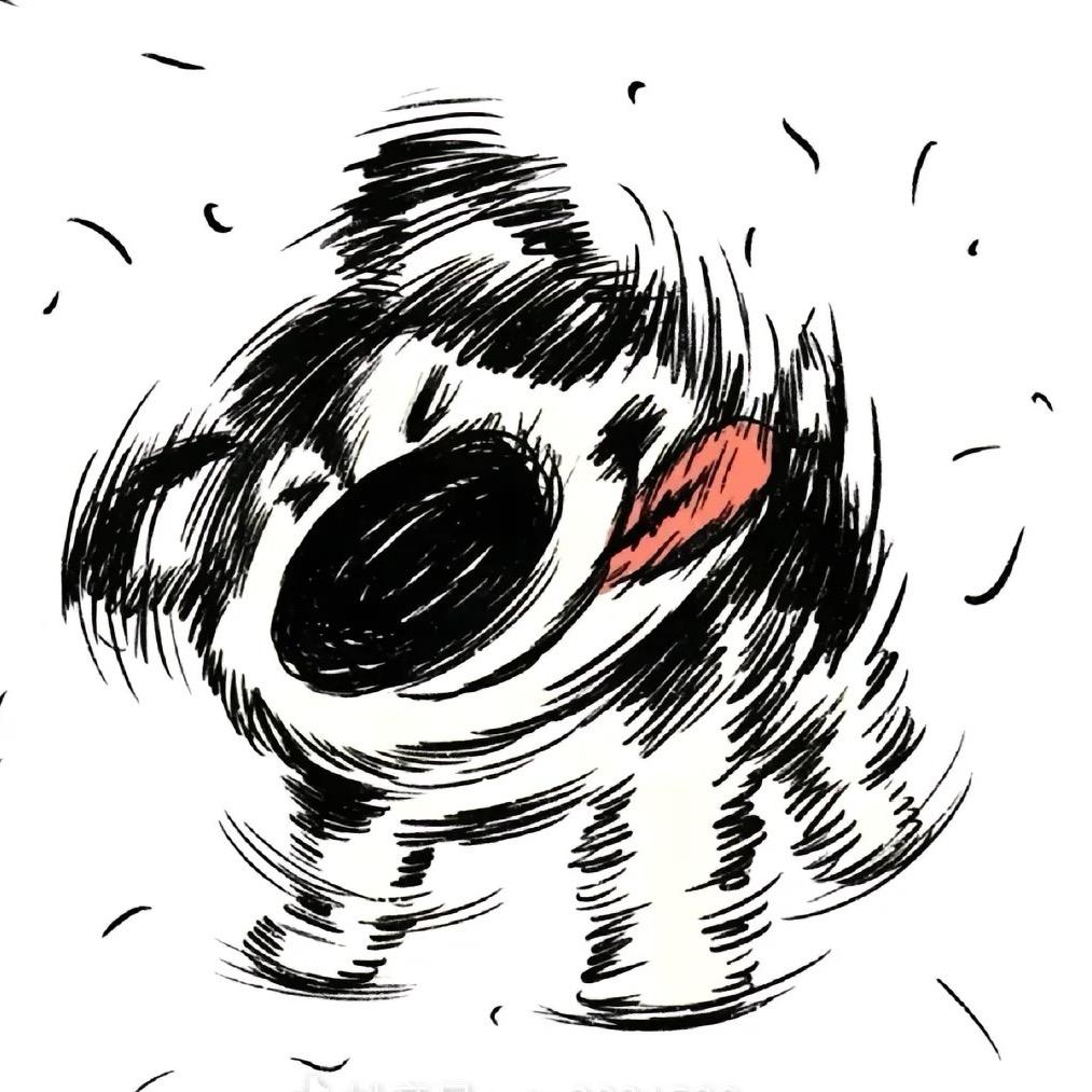菜包king