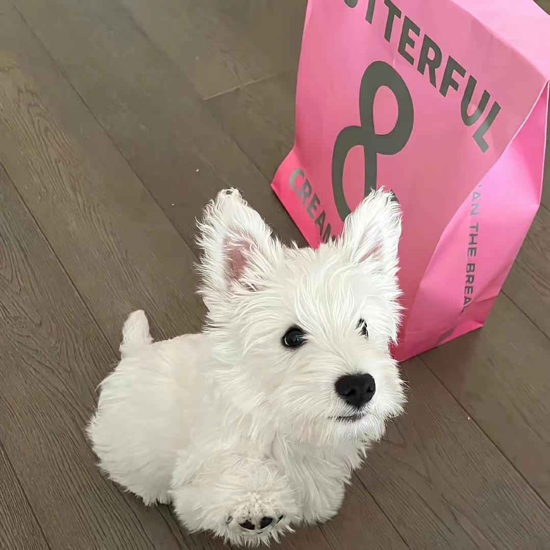 李李•