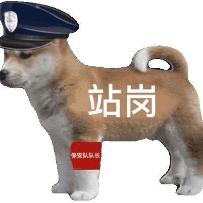在胖十斤就改名🐷