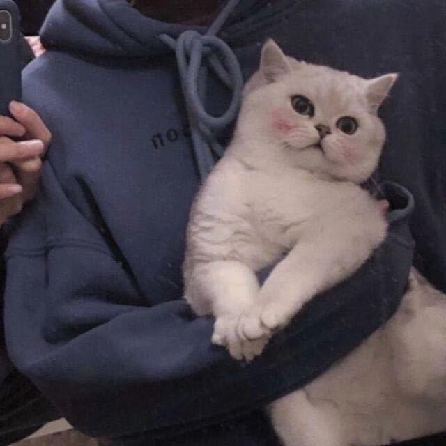 垚垚垚垚
