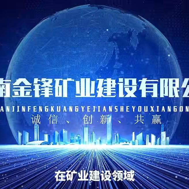 河南金锋矿业