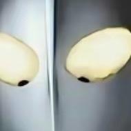 马铃薯头小鬼头像