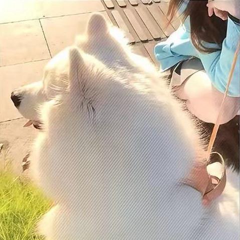 阿俊.