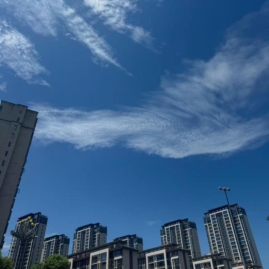 雷 先 森