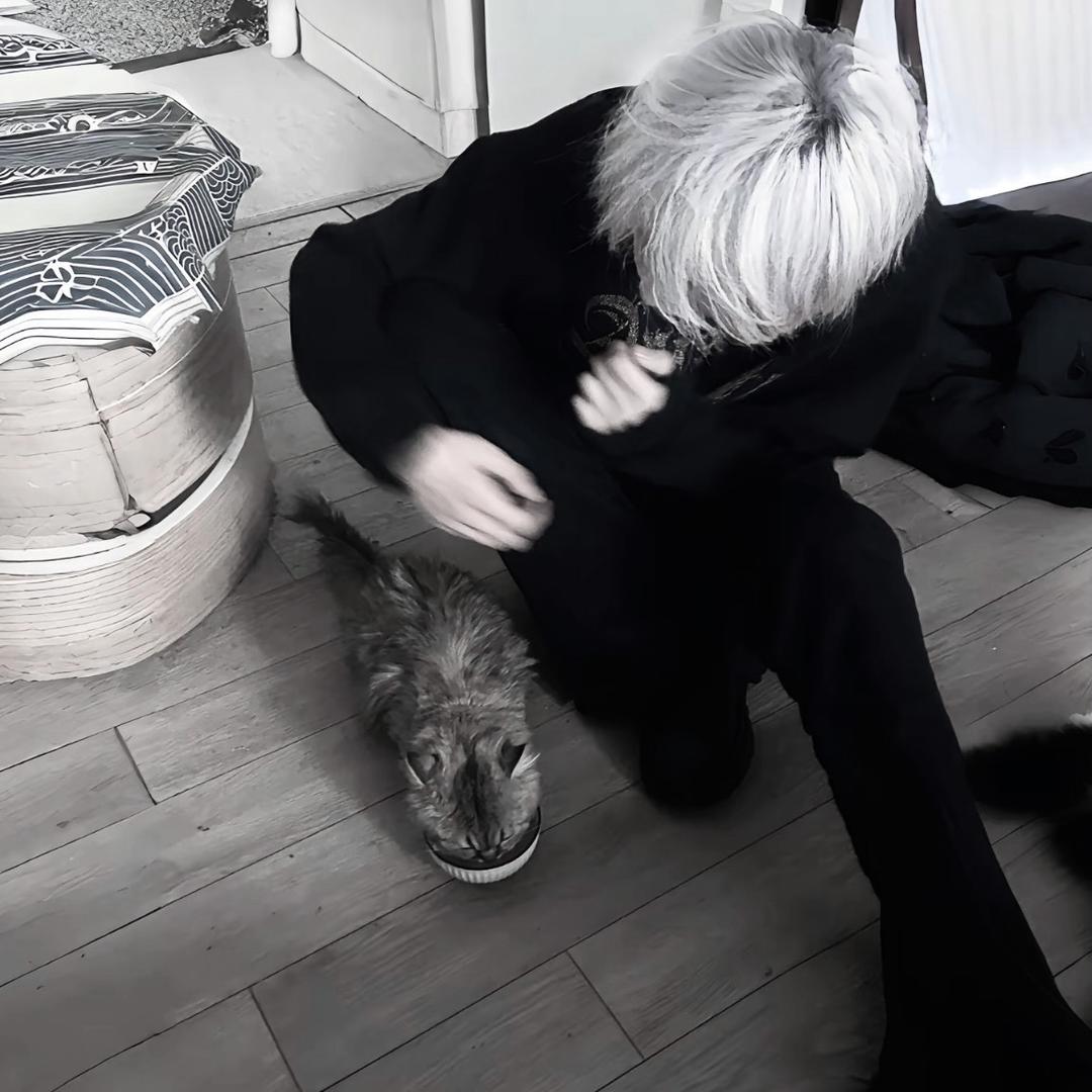 毛球ouo