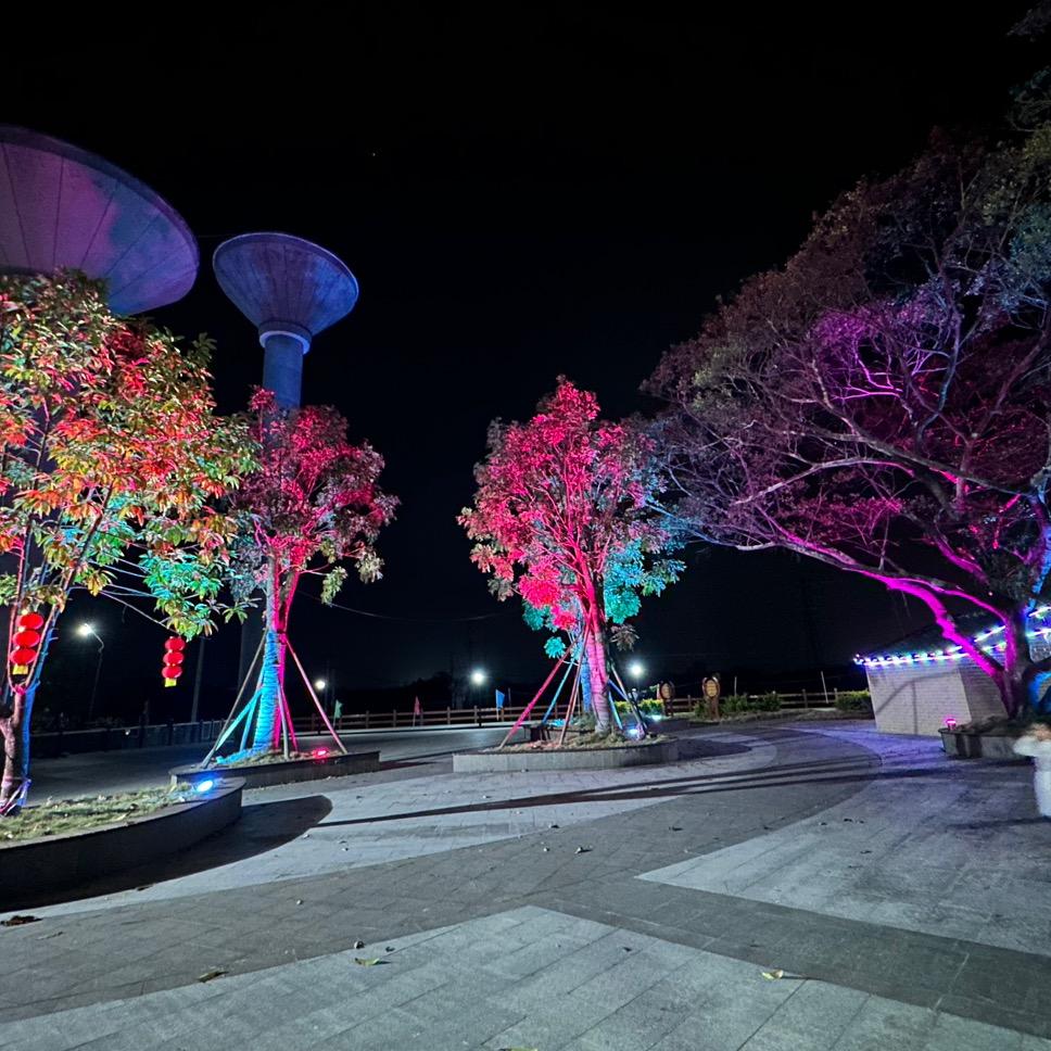 太平村娱乐直播号