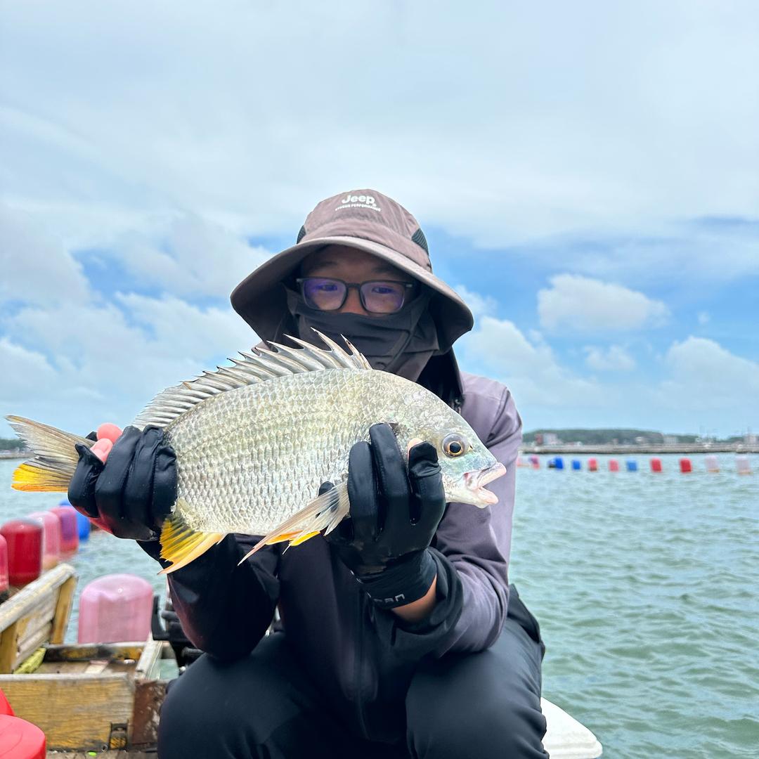 二指黄腊钓手🎣