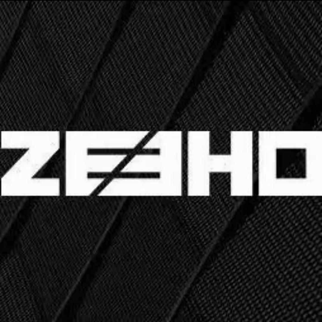 ZEEHO极核电动(凤台州来路店)