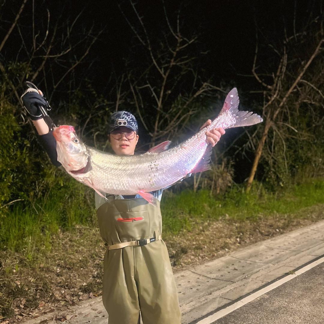 藤🎣