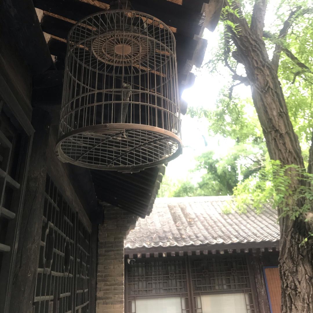 泡泡