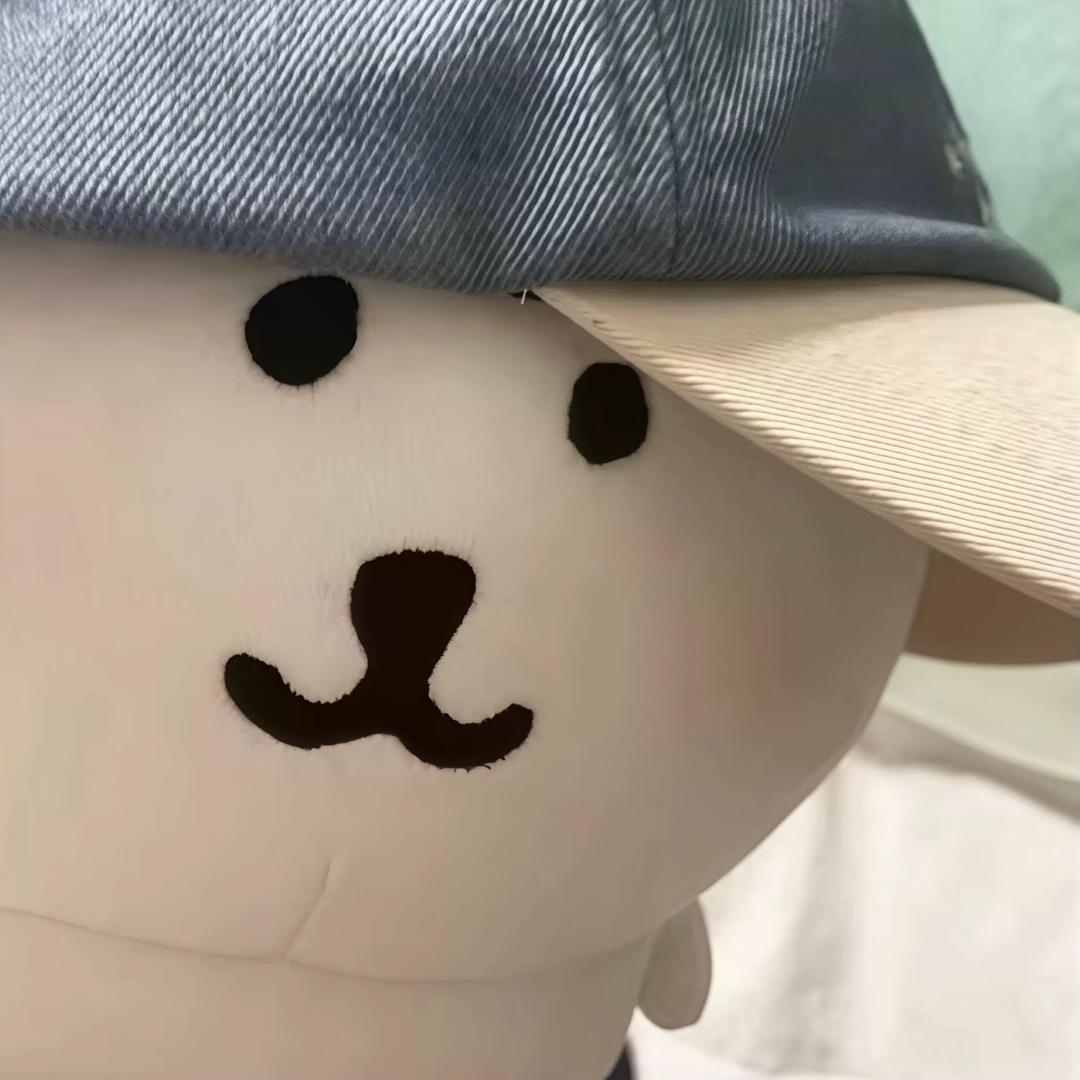 帅