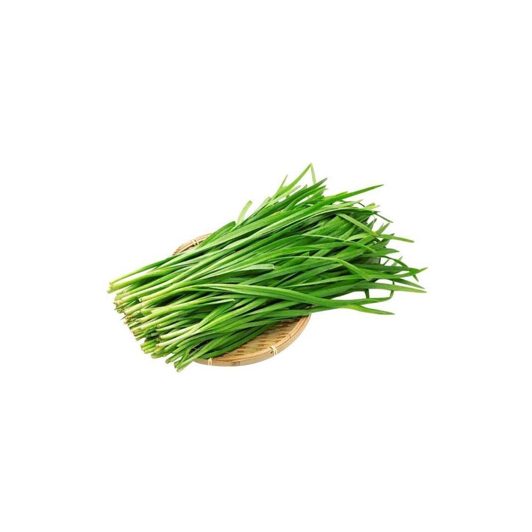 忧伤猪大肠