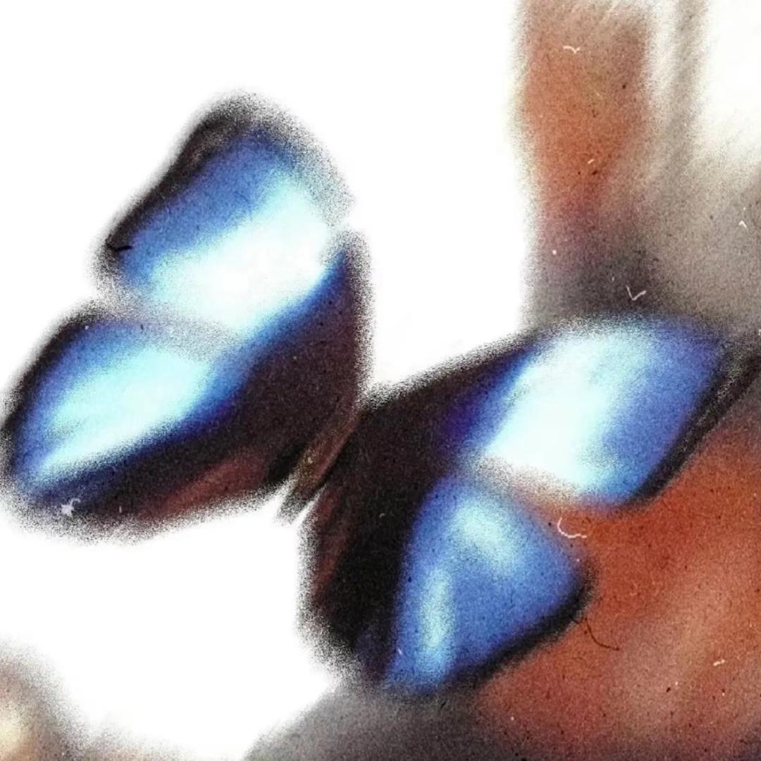 一朵风中摇曳的水仙花