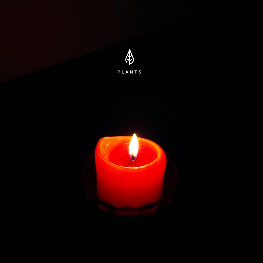 花爷的认知课