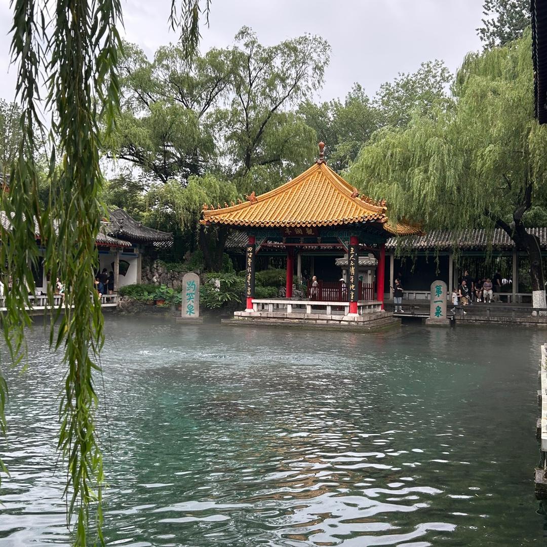 丁丁开飞机