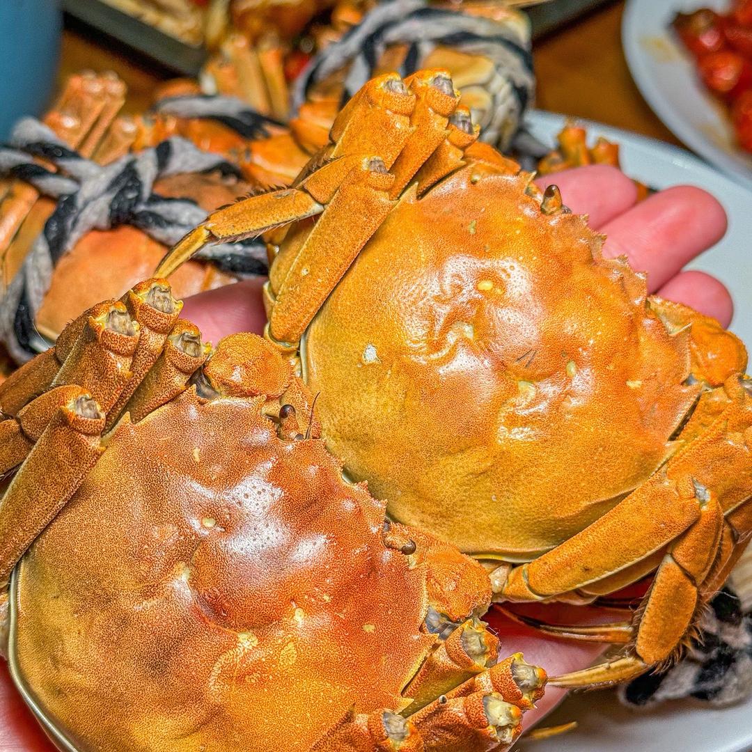 小马哥三农优选