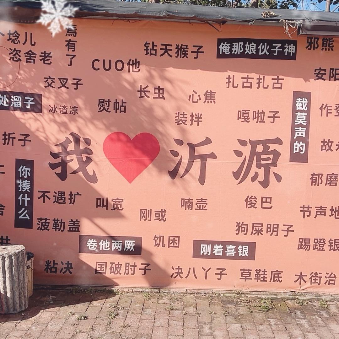 沂源城北农家小院