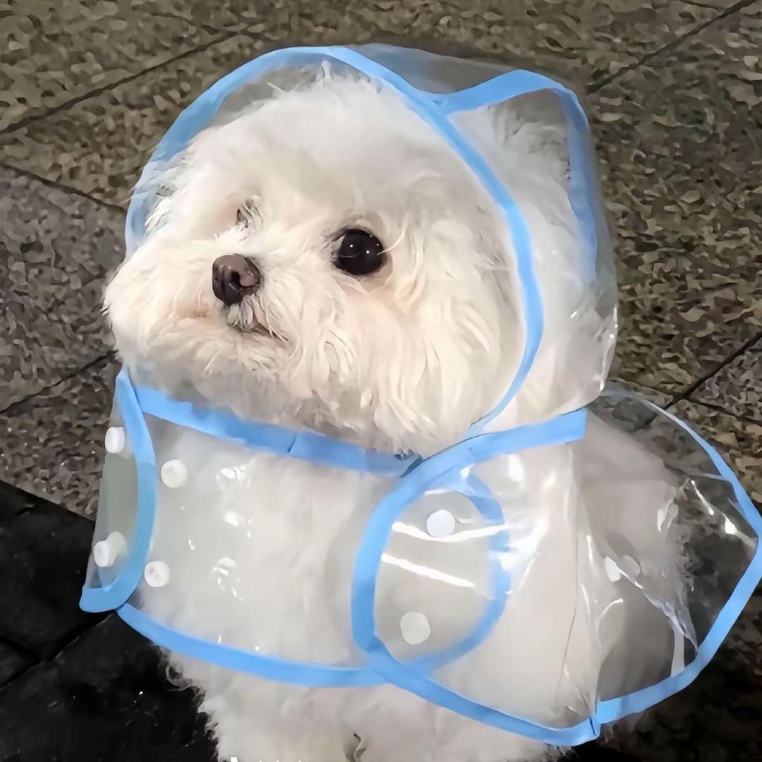 毫无目标可言