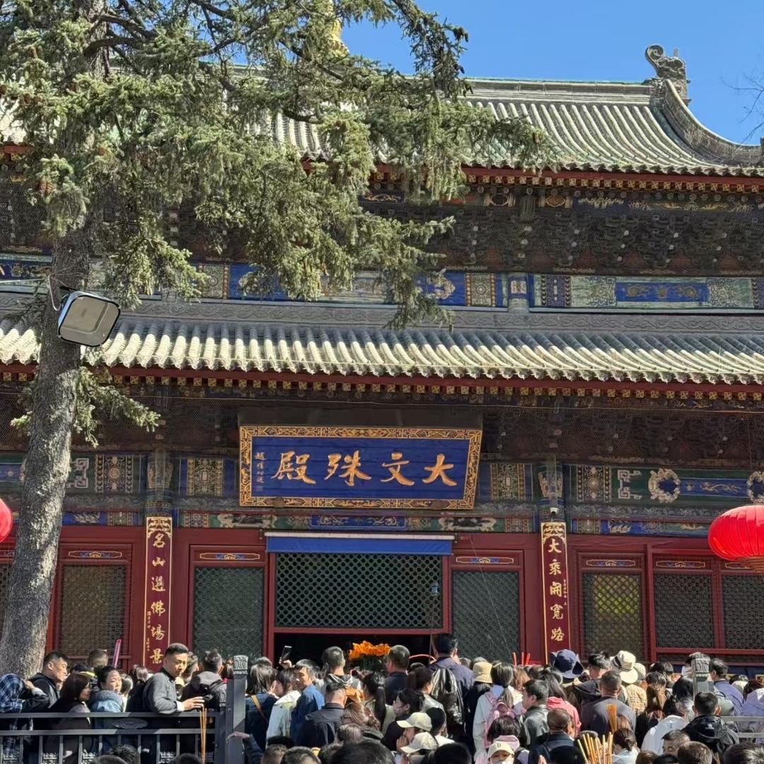 鸿（车辆预约）