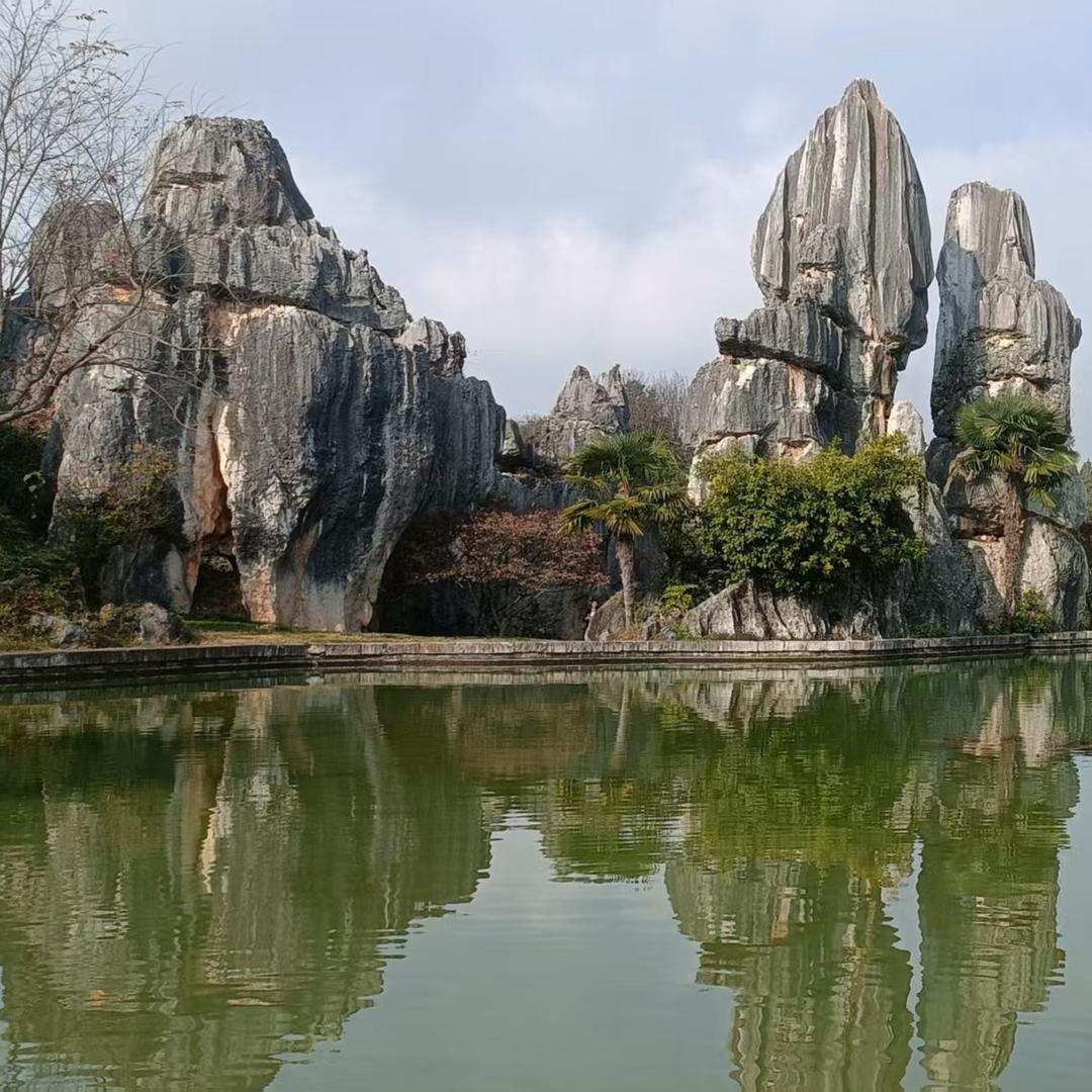 风中纸鸢3