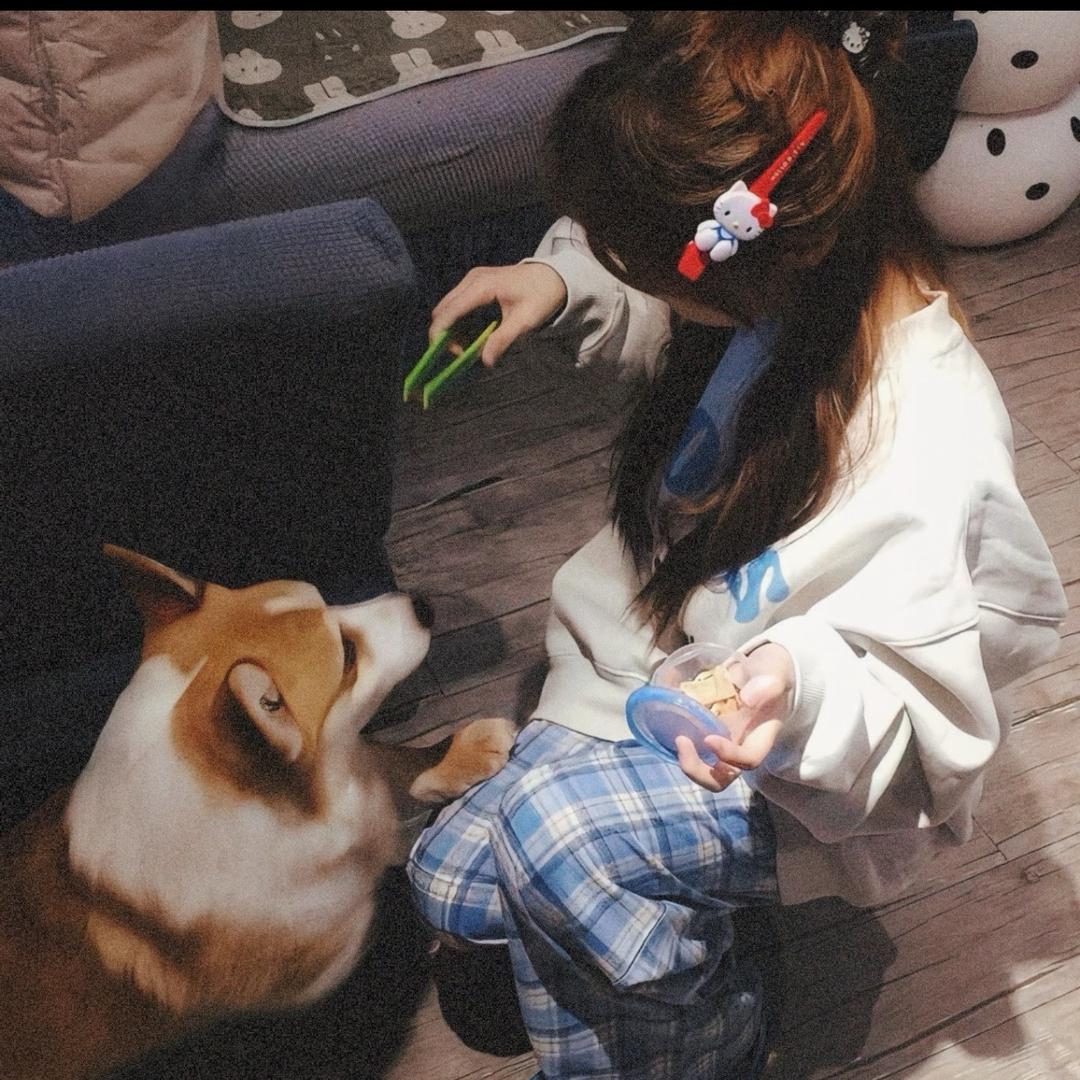 是西西不是欠欠