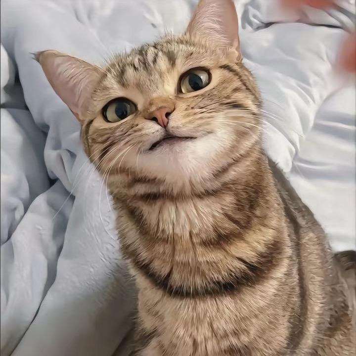 烟花