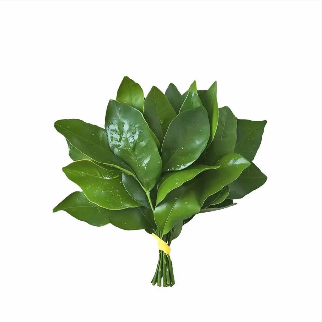 喵小喵🍋头像